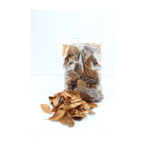 Buchenlaub zur Dekoration 0,5 m²