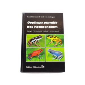 Oophaga pumilio - Das Kompendium
