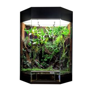 RANA Panorama-Showterrarium Rainforest 60x45x80cm schwarz
