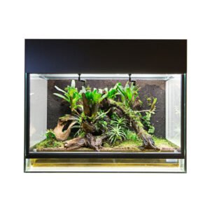 RANA Showterrarium „Starter“ 60x40x50cm