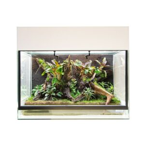RANA Showterrarium „Starter“ 60x40x50cm weiß