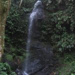 1200420707_suriname4