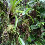 1200581796_ecuador15