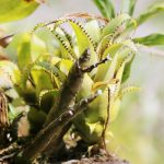 1200581800_ecuador20