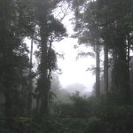 1200646913_suriname24