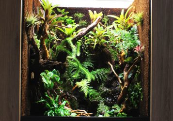 paludarium