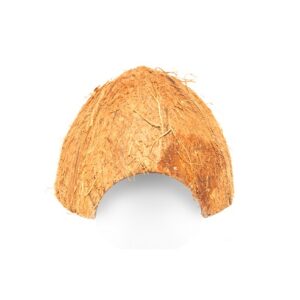 Halbe Kokosnuss als Laichhaus für Pfeilgiftfrösche