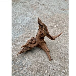 Driftwood Flussholz kleimn